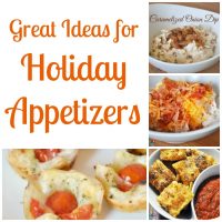 14 Great Ideas for Holiday Appetizers at The Love Nerds {https://thelovenerds.com}