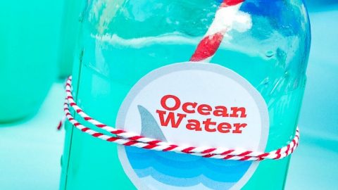 Throwing a fun summer event or maybe even a Shark Party? Quickly make this easy Blue Punch recipe and print the cute free label to name it Ocean Water! | The Love Nerds