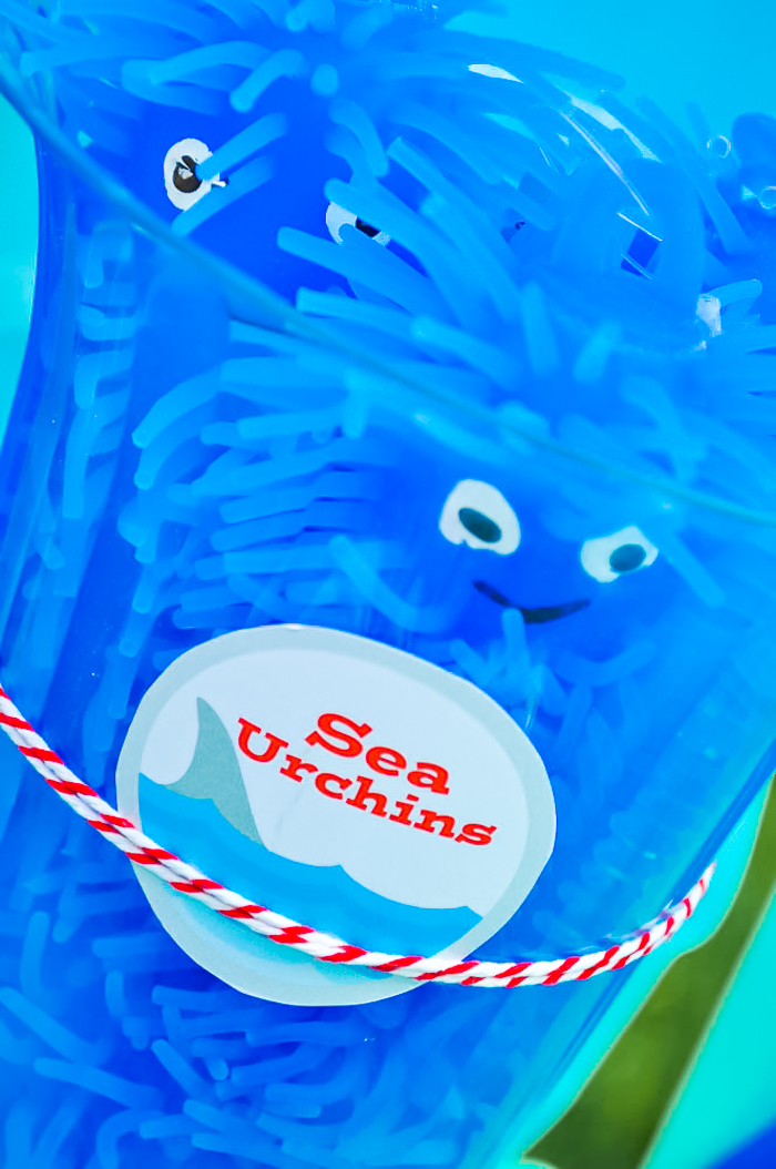 Soft blue plastic urchin monsters from the dollar store fill a clear plastic jar that is labeled with a sea urchins label on the front. 