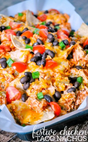 Festive Chicken Taco Nachos - The Love Nerds