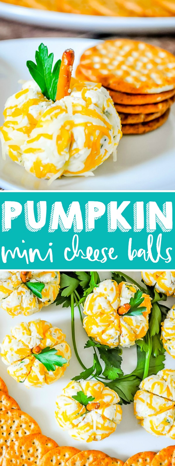 Make a delicious bacon ranch cheese ball and shape them into adorable pumpkins for the perfect Halloween and Thanksgiving appetizer! These Pumpkin Mini Cheese Balls are cute, tasty and easy to serve! 