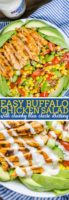 Buffalo Chicken Salad with Litehouse Chunky Bleu Cheese Dressing - Delicious salad with all the fixings! Perfect to prep for lunches and hearty enough to enjoy for a summer dinner idea! | The Love Nerds AD