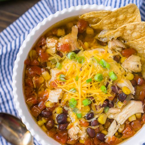 Easy Slow Cooker Chicken Tortilla Soup - The Love Nerds