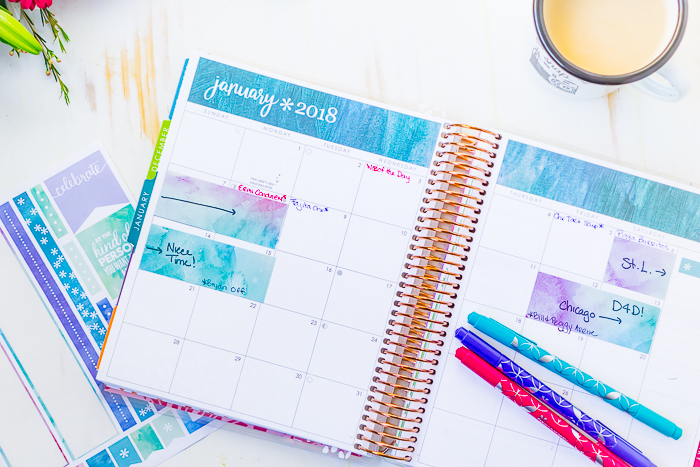 How I Use my Erin Condren Life Planner - The Love Nerds