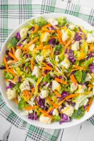 Cabbage and Brussels Sprouts Salad with Carrots, Broccoli, and Cauliflower