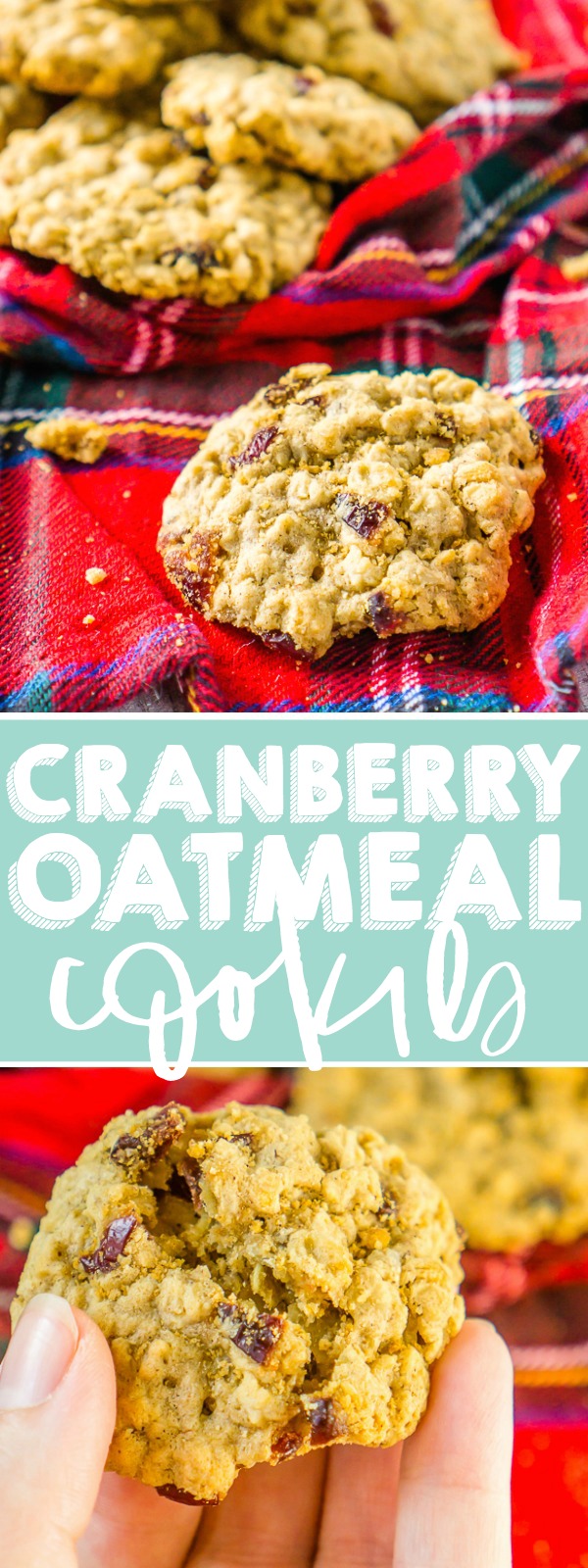 Delicious Cranberry Oatmeal Cookies that make the perfect holiday cookie for Thanksgiving sweets or Christmas dessert! Soft, chewy and full of flavor - everyone will love these cranberry cookies! | The Love Nerds