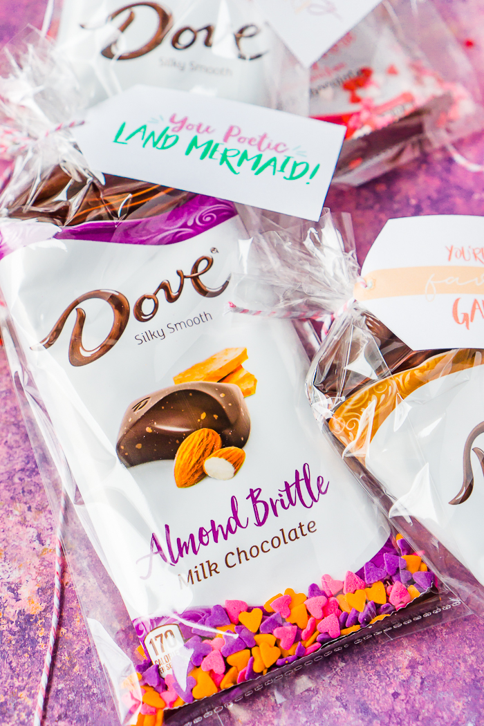 Make easy but delicious Galentine's Day Gift Bags to thank the amazing friends in your friend with some help from DOVE® Chocolate Bars and FREE printable gift tags and cards! It's a quick DIY treat bag your friends will remember! | THE LOVE NERDS #friendgifts #diygiftbags #galentinesday
