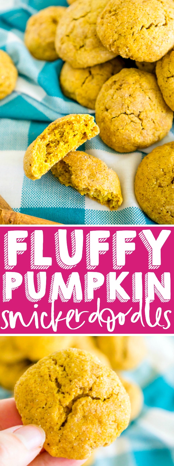 The best cookie recipe for fluffy Pumpkin Snickerdoodles! They are soft, chewy and full of fall spices. You will definitely want to make these for Halloween and Thanksgiving dessert as they'll easily become everyone's favorite fall cookie! | THE LOVE NERDS #cookierecipe #pumpkingcookie #snickerdoodlerecipes